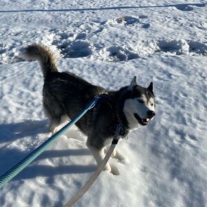 We love our posh 🖤🖤🖤